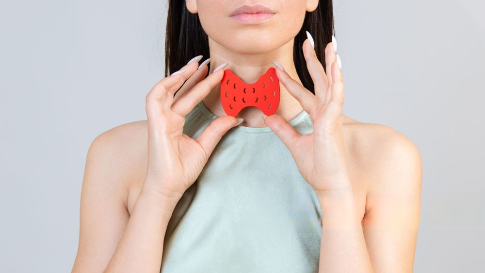 a woman showing Replica of the thyroid gland